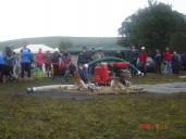 dsc07615.jpg
